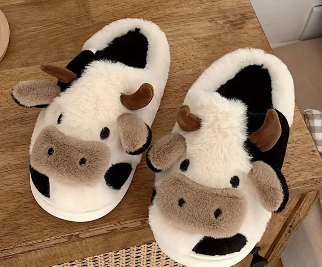 Cow slippers 8/9